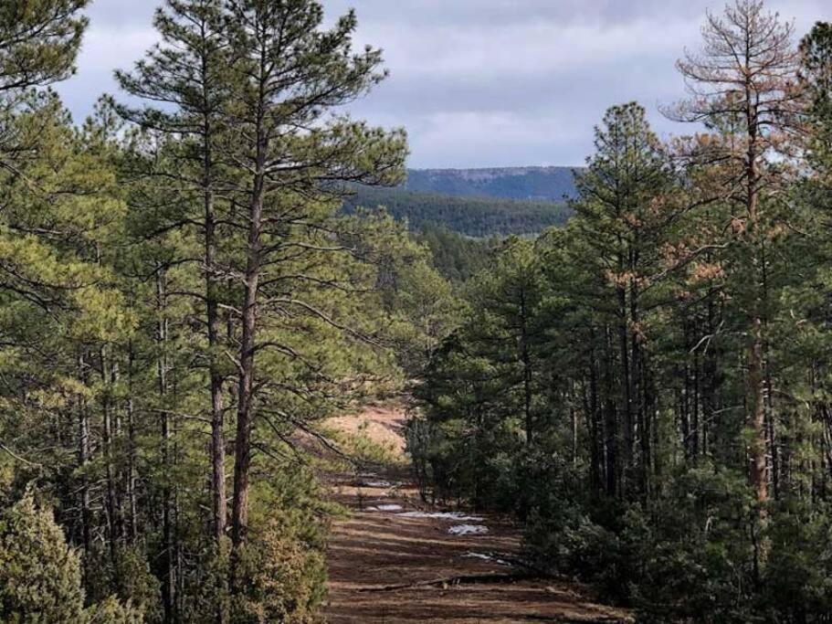 Forest Cabin 2 Birds Nest Payson Exterior photo